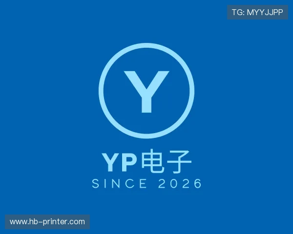 了解YP电子